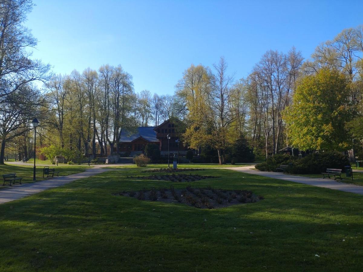 Apartament Almar Cieplice-Zdroj Jelenia Góra Exteriör bild